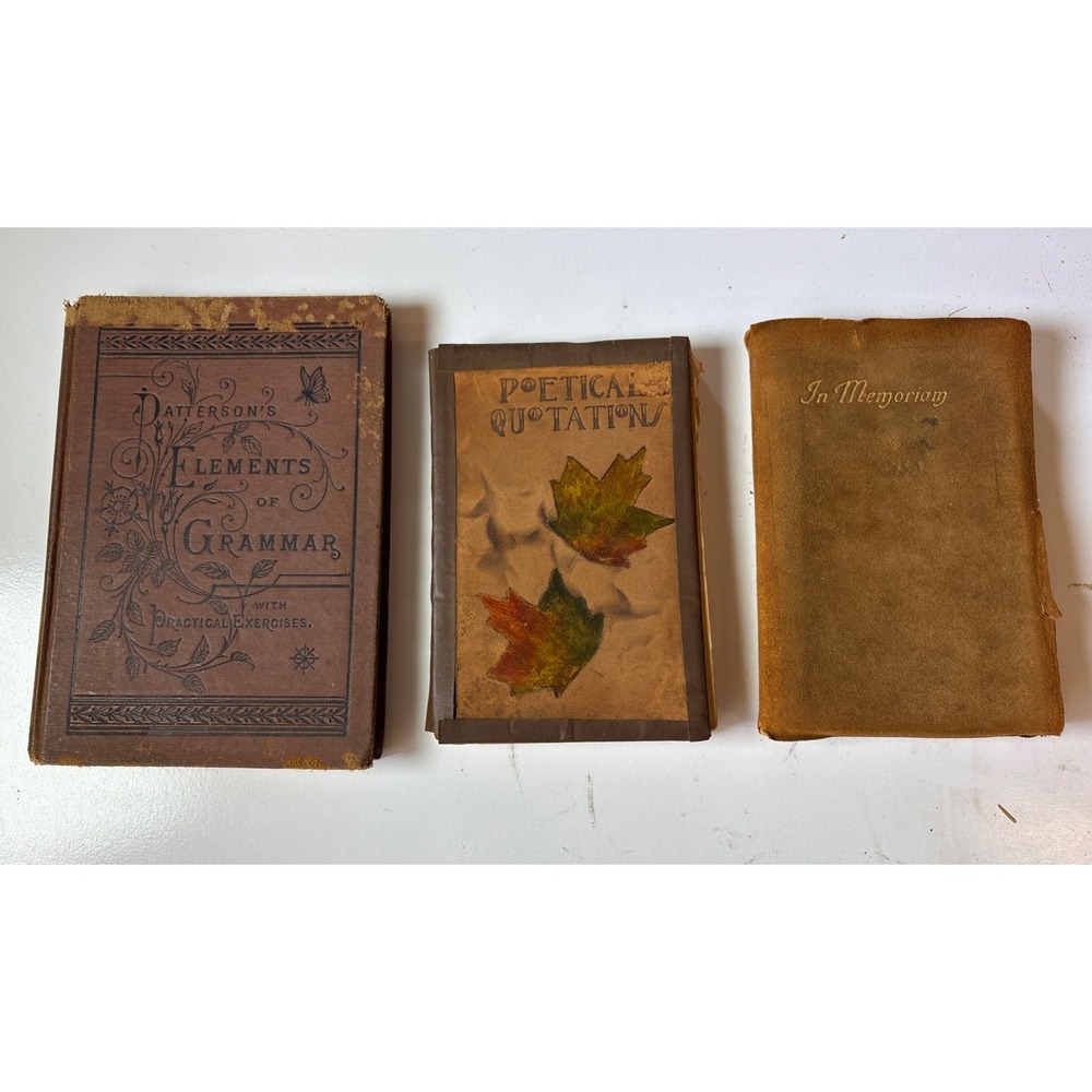1885 Patterson's Elements Of Grammar With Practical Exercises And 2 Others (HK)